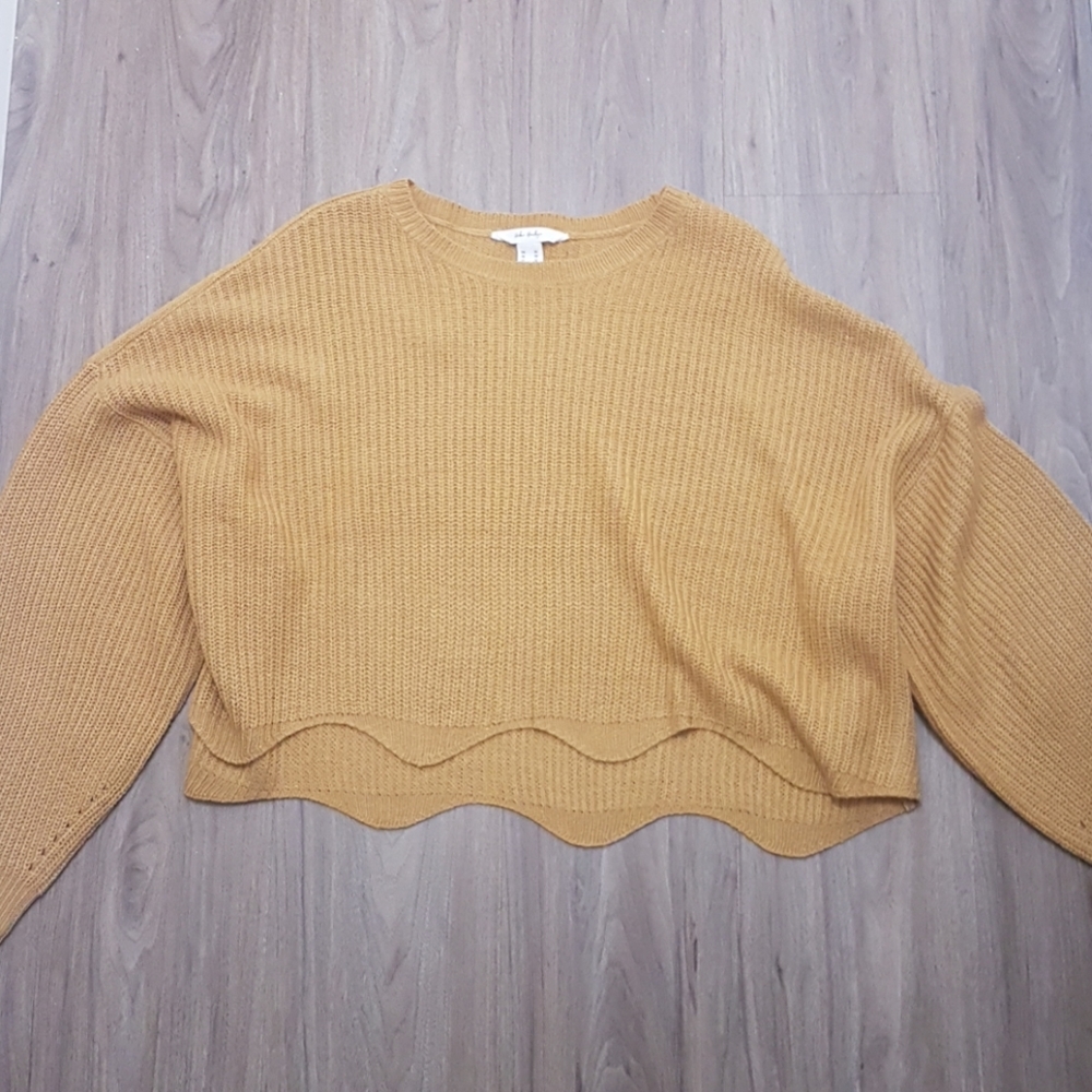 a long sleeve cropped sweater